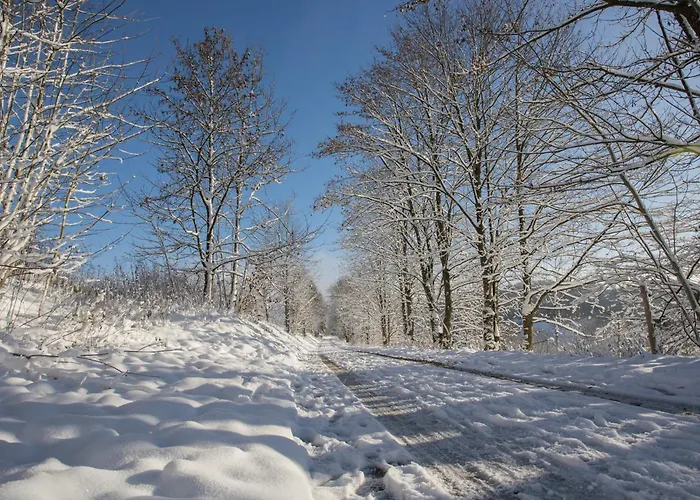 Apartman Welcome In - Gelegen Met Balkon - Heidestrasse 2